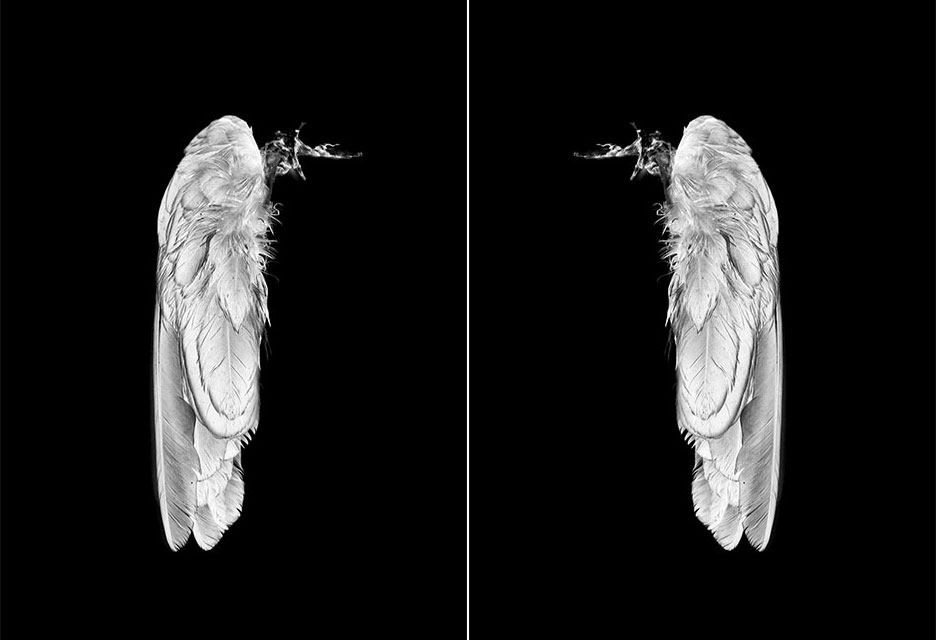 3_IRENA_JURCA_WCMW_VSE_SERIJE