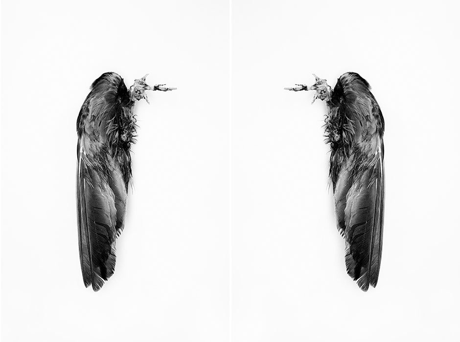 IRENA_JURCA_WCMW_1_4