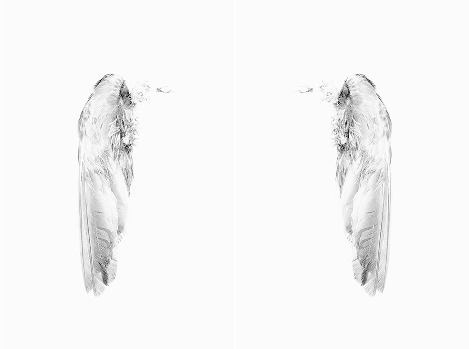 IRENA_JURCA_WCMW_4_4